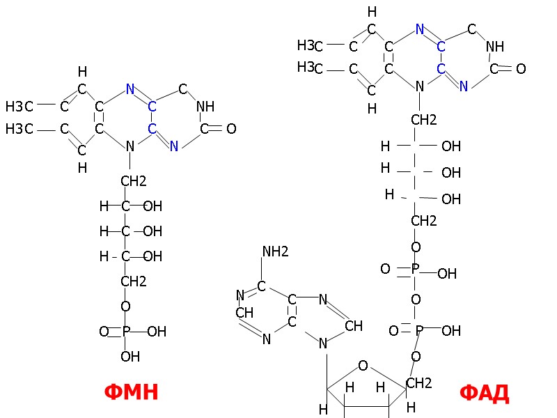 С С С С С С С С С С С С H H